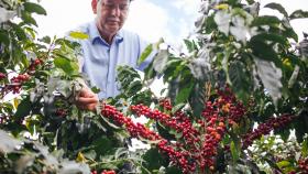 How Starbucks Helps Sustain the Future of Coffee