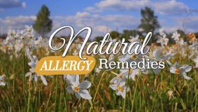 Natural Allergy Remedies 