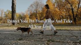 Protect Your Pet from Fleas and Ticks All Year Long